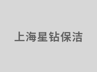 专业上海保洁公司，上海家政公司排名，上海哪家家政公司好